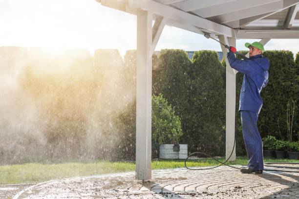 Best Pool Deck Cleaning in Shullsburg, WI